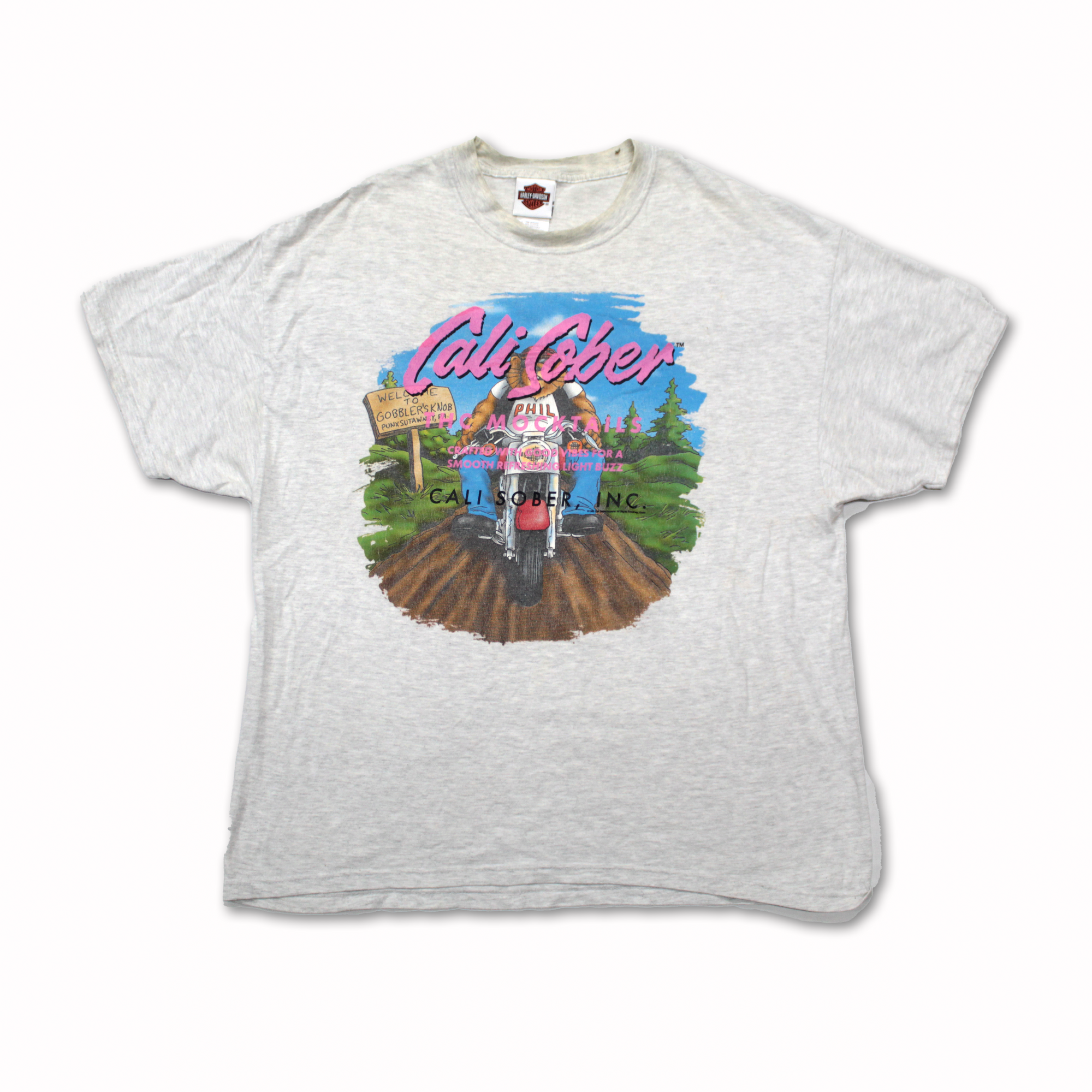 Harley Davidson Groundhog | Cali Sober Tee